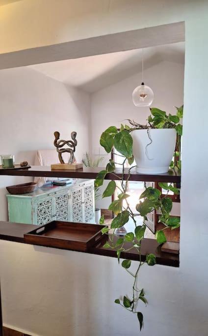 Cocorelax 2 Otro Lugar De Relax En Lanzarote Daire Guatiza Dış mekan fotoğraf